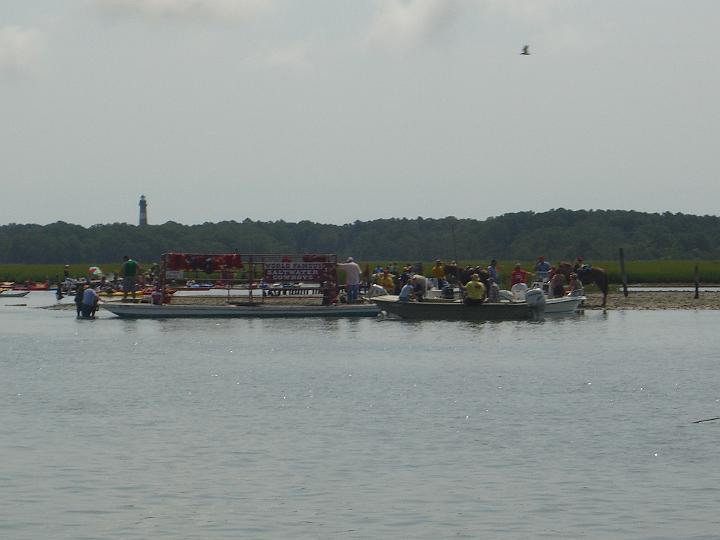 Chincoteague Pony Swim July 2007 028.JPG